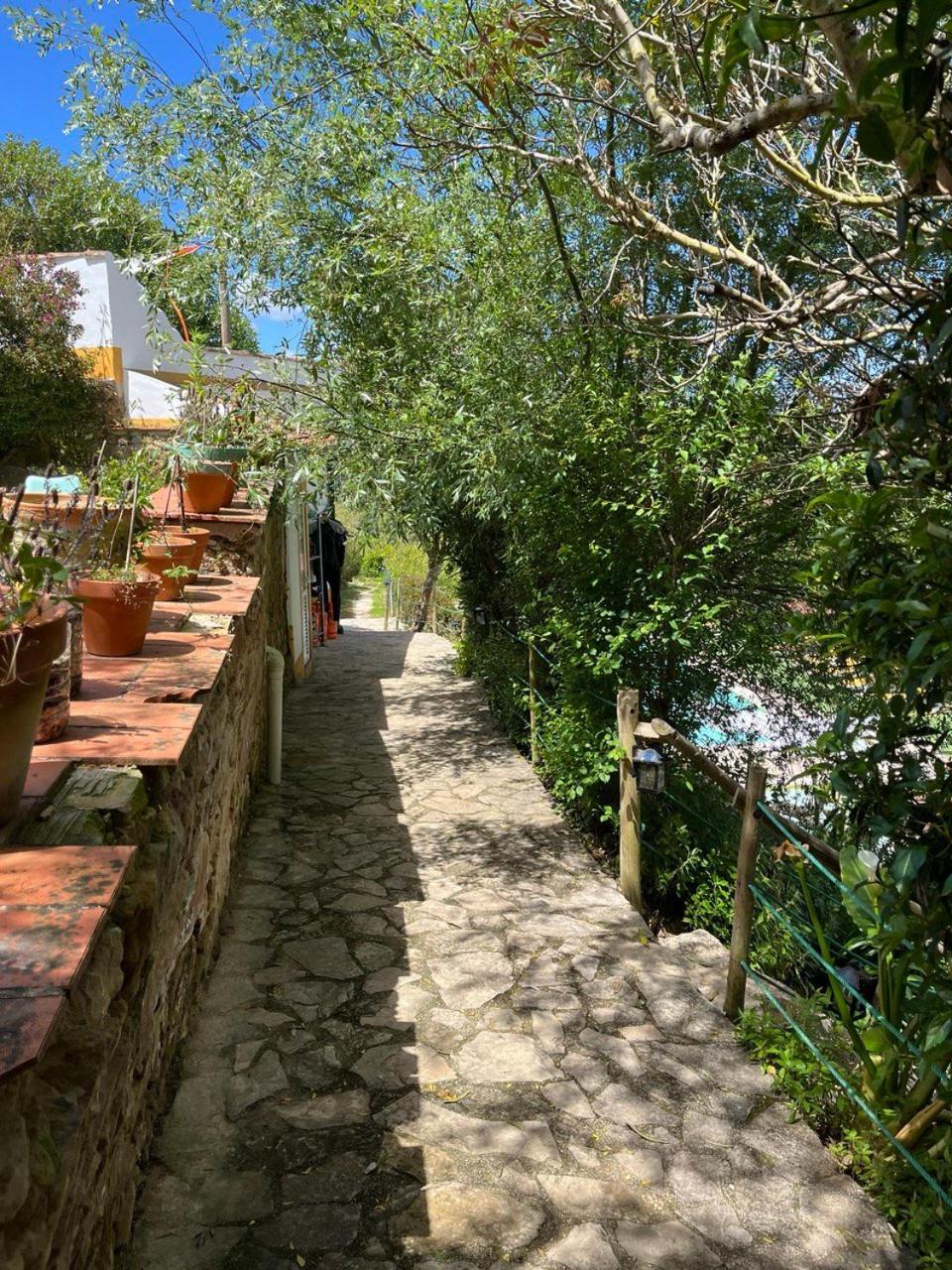 Quinta Laranja - Turismo Rural - Alvorninha 外观 照片