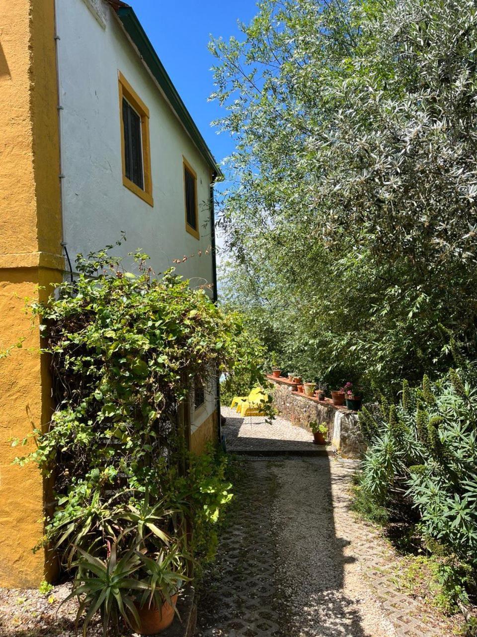 Quinta Laranja - Turismo Rural - Alvorninha 外观 照片